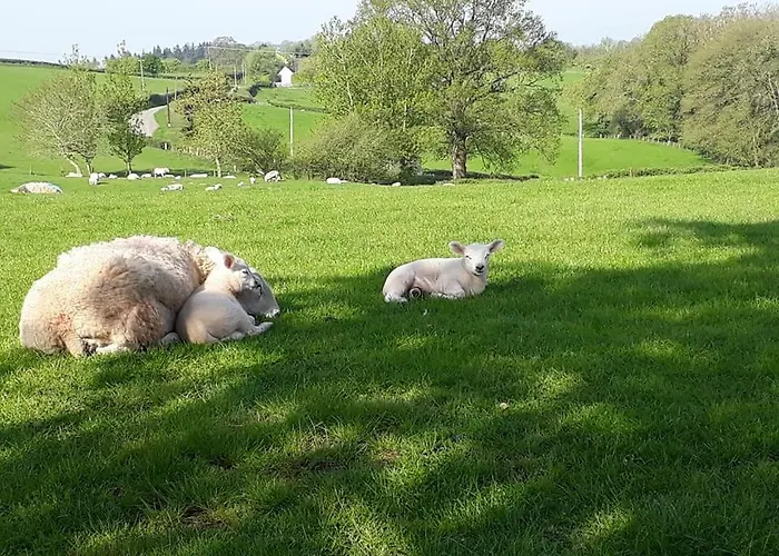 Ewe Retreat Shepherds Hut